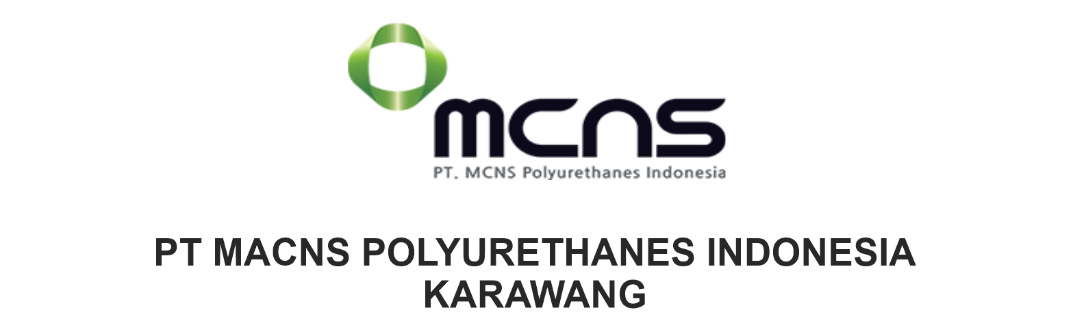 Logo MCNS Polyurethanes